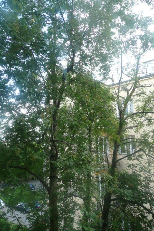 Sunny Wisla River Apartment Warsaw Ngoại thất bức ảnh